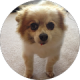 google profile photo