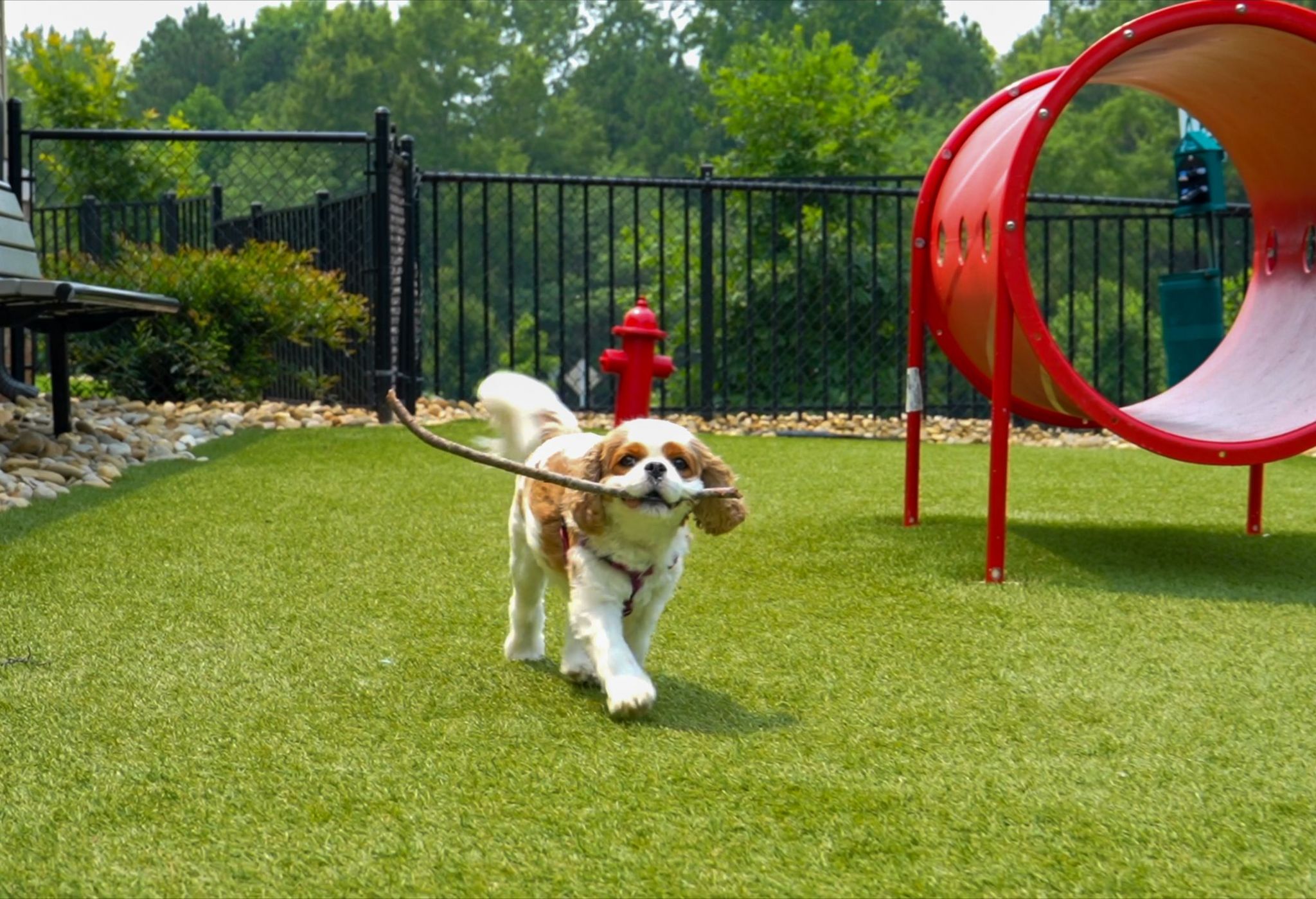 Carrway Village enclosed off-leaseh dog park for resident pets