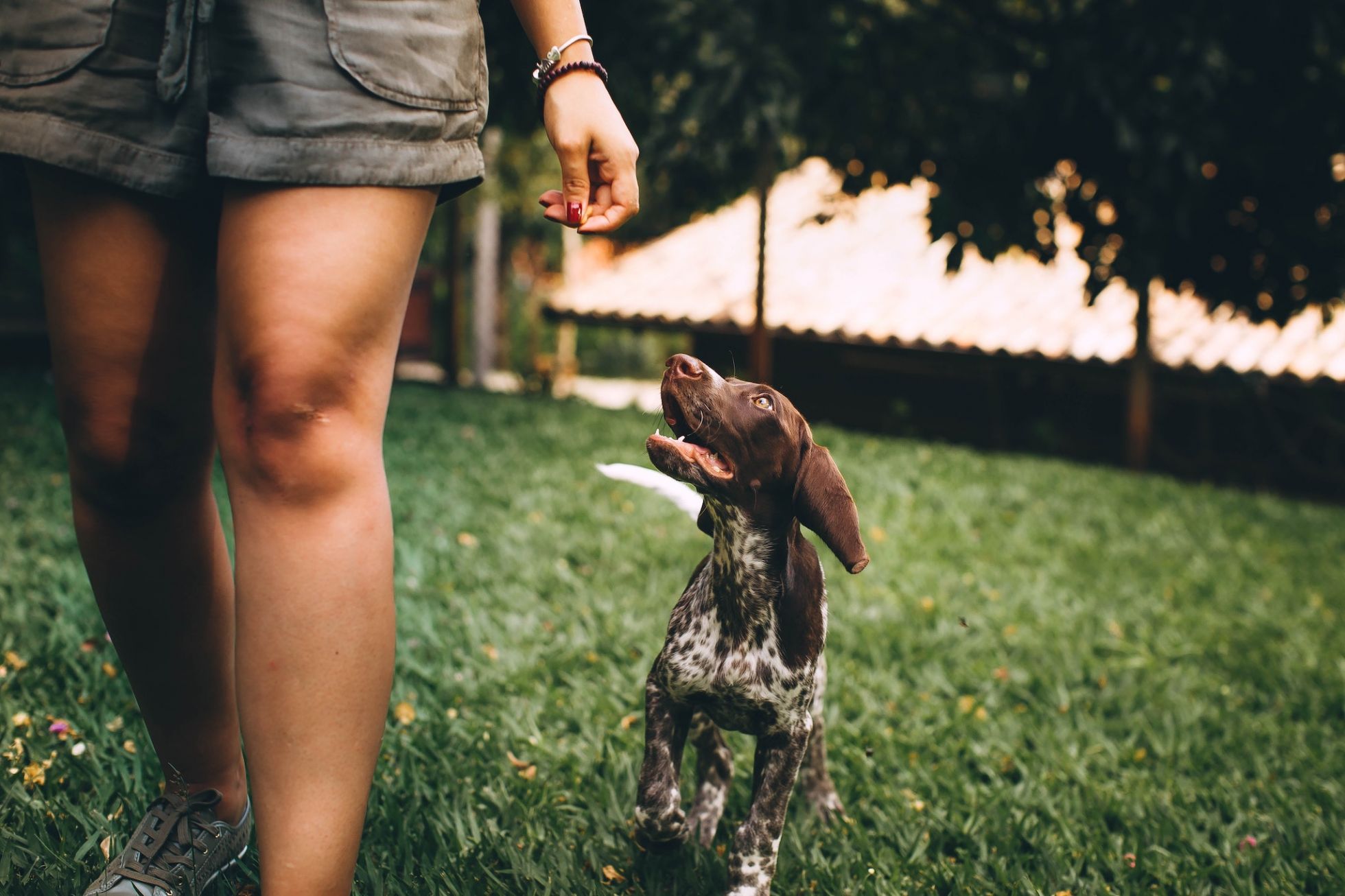 Woman walking outside with small brown puppy at her side