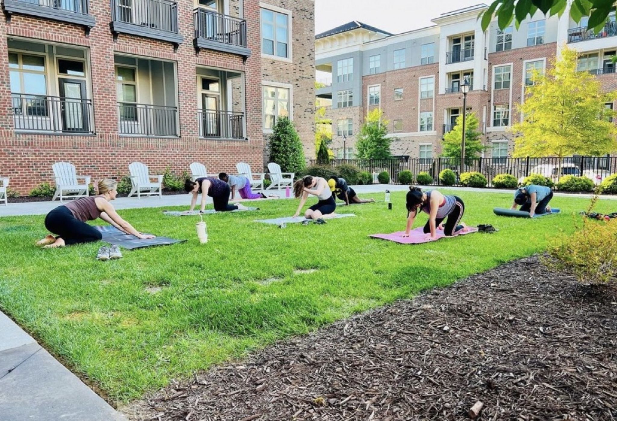 Outdoor lawn with a yoga class occurring