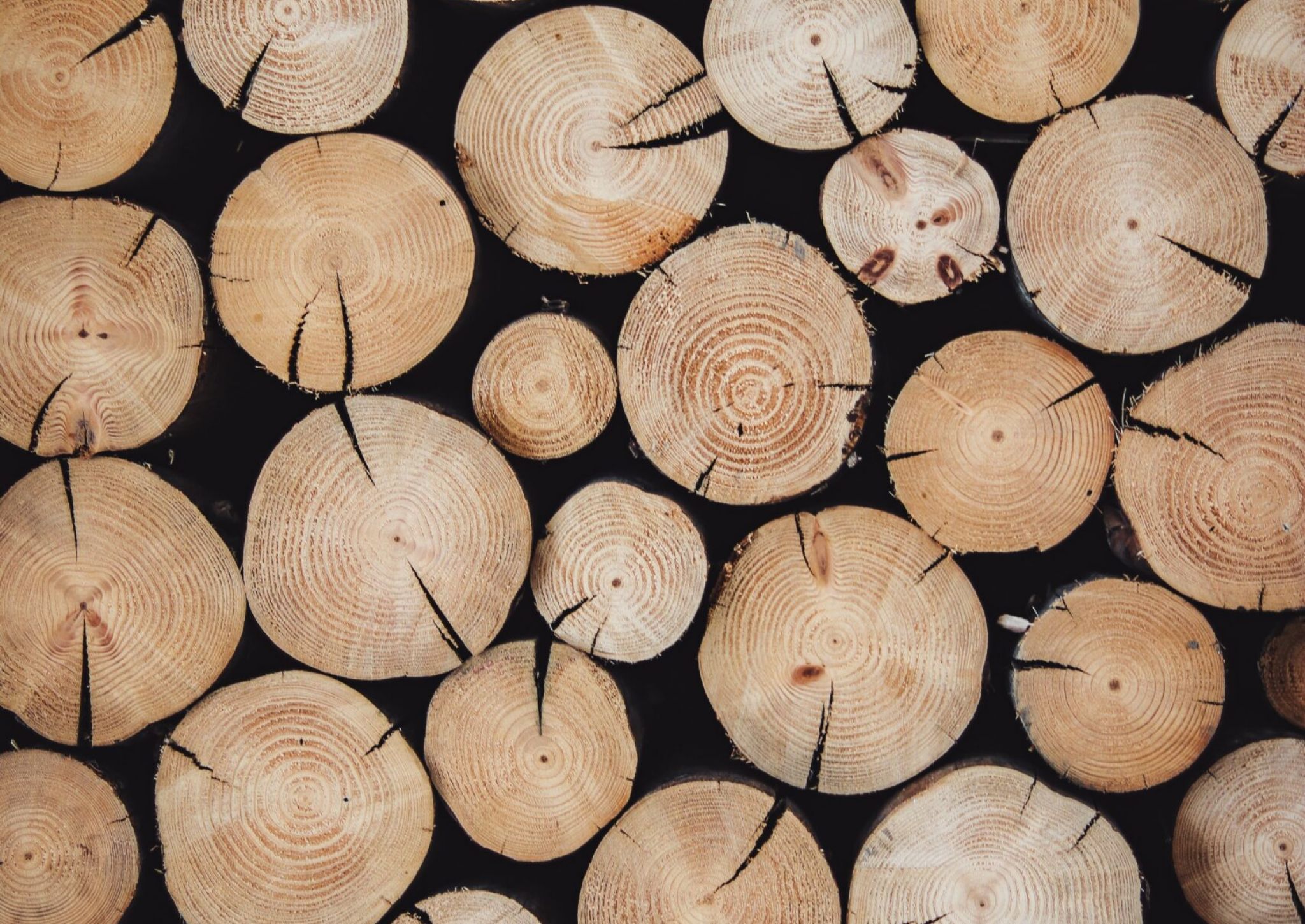 Stacked wood log ends