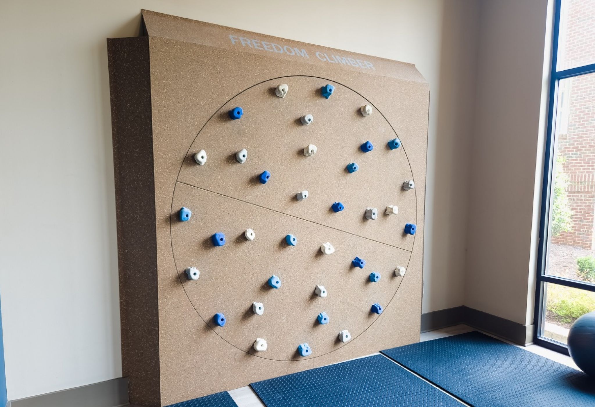 Freedom climbing wall