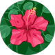 google profile photo