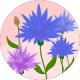 google profile photo